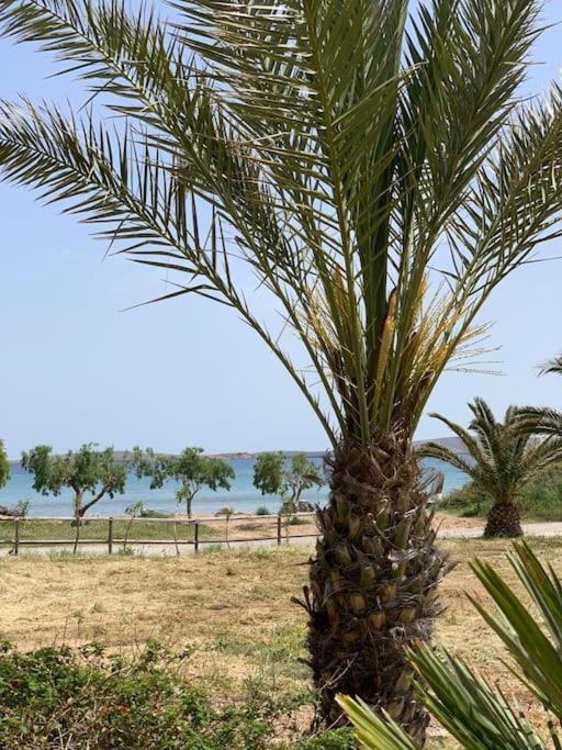 דירות Anevato Studio At Beautiful Beach Kouremenos מראה חיצוני תמונה