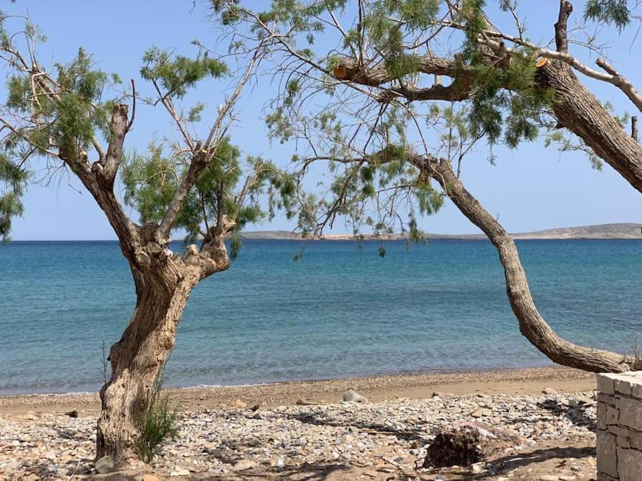 דירות Anevato Studio At Beautiful Beach Kouremenos מראה חיצוני תמונה