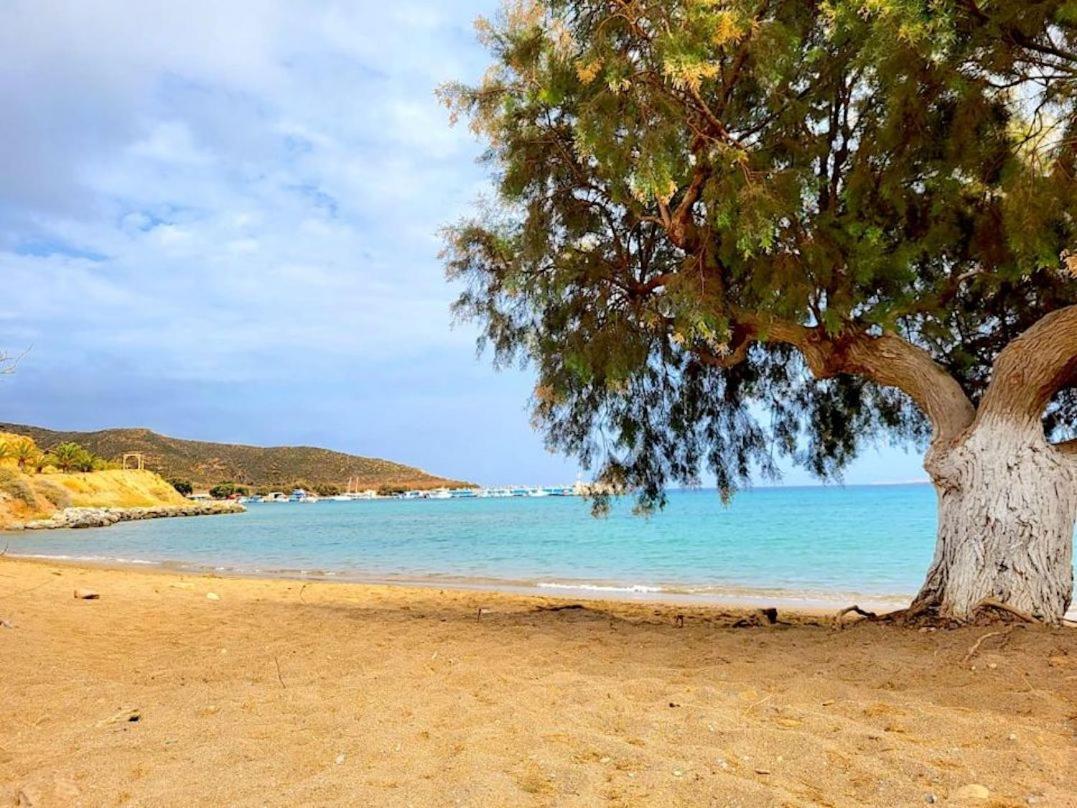 דירות Anevato Studio At Beautiful Beach Kouremenos מראה חיצוני תמונה